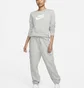 Світшот жіночий Nike Sportswear Club Fleece Grey DQ5832-063