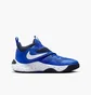 Кросівки дитячі Nike Team Hustle D11 Blue DV8996-400