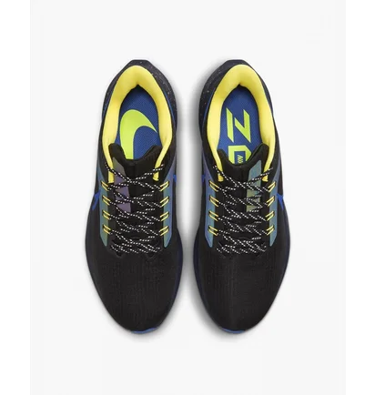 Кроссовки мужские Nike Air Zoom Pegasus 39 Black DZ4846-001