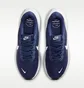 Кросівки чоловічі Nike Revolution 8 Blue HJ9198-403