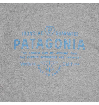 Футболка мужская Patagonia Forge Mark Responsibili-Tee T-Shirt Grey 37572