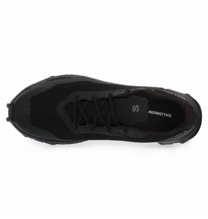Кроссовки мужские Salomon Alphacross 5 Gtx Black 473075