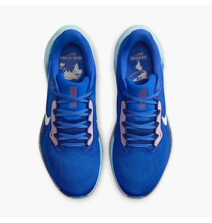Кросівки чоловічі Nike Air Zoom Pegasus Blue HQ1717-400