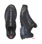 Кроссовки мужские Salomon X Ultra Alpine Gtx Grey/Black L47686200