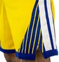 Шорти чоловічі Nike Nba Golden State Warriors Swingman Yellow/Blue CV9560-728