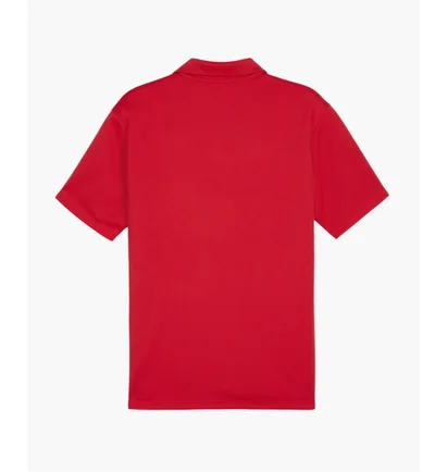 Поло мужское Puma Teamgoal Poloshirt Rot F01 Red 658771-01