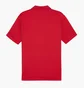Поло мужское Puma Teamgoal Poloshirt Rot F01 Red 658771-01