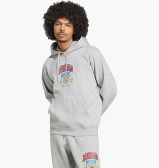 Худи мужское Adidas Hooded 1 Sweatshirt Grey IX6770