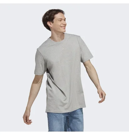 Футболка чоловіча Adidas All Szn Tee Grey Ic9789
