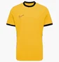 Футболка дитяча Nike Dri-Fit Academy 25 Yellow FZ9758-719