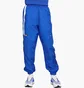 Штани чоловічі Nike Sportswear Blue FV0065-480