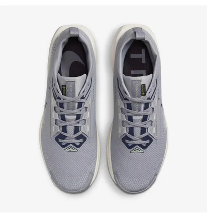 Кроссовки мужские Nike Pegasus Trail 5 Gtx Grey FQ0908-006