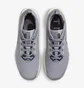 Кроссовки мужские Nike Pegasus Trail 5 Gtx Grey FQ0908-006