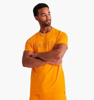 Футболка мужская Air Jordan Paris Saint-Germain Alternate T-Shirt Orange Dv0634-705