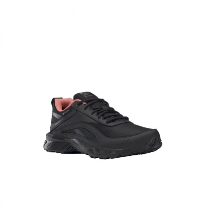 Кроссовки женские Reebok Ridgerider 6 Gtx Black FW9640