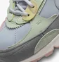 Кроссовки женские Nike Air Max 90 Futura Grey Dm9922-001