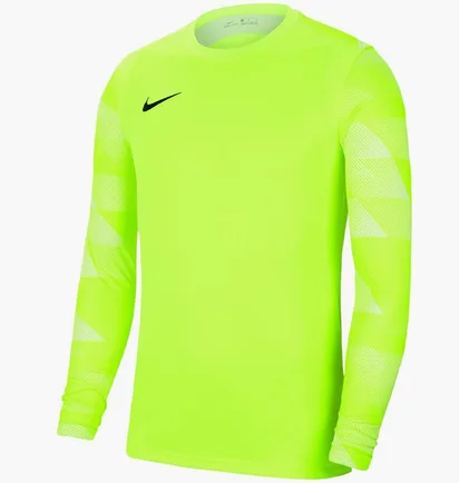 Лонгслів чоловічий Nike Dry Park Iv Green Cj6066-702