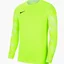 Лонгслів чоловічий Nike Dry Park Iv Green Cj6066-702