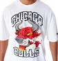Футболка чоловіча NEW ERA Graphic Bulls White 60565031