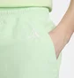 Шорты мужские Nike Acg Reservoir Goat Shorts Green FN2472-376