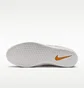 Кросівки чоловічі Nike Sb Force 58 Grey DV5477-007