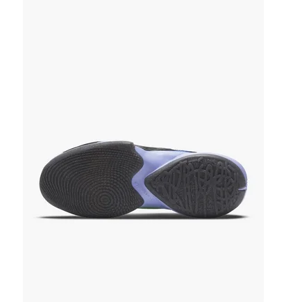 Кроссовки унисекс Nike Zoom Freak 2 "Play For The Future" Blue CK5424-500