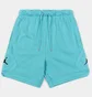 Шорты мужские Air Jordan Flight Fleece Shorts Light Blue DQ7472-464