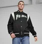 Бомбер мужской Puma Team Varsity Black 623691-01