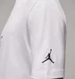 Футболка мужская Air Jordan Brand Jfx Ss Crew2 White FD7029-100