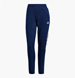 Штаны женские Adidas Wmns Tiro 21 Sweat Blue GK9676