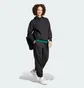 Штани жіночі Adidas All Szn Fleece Loose Black IW1024