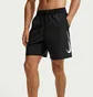 Шорты мужские Nike Dri-Fit Black IF2996-010