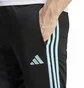 Штаны мужские Adidas Pants Tiro23 Cb Trpnt Black IL9549