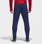 Штаны мужские Adidas Condivo 18 Cv8243 Blue