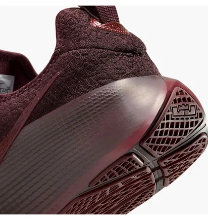 Кроссовки унисекс Nike Lebron Tr 1 Bordo FJ6151-601
