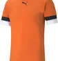 Футболка мужская Puma Teamrise Jersey Orange 704932-08