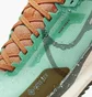 Кросівки жіночі Nike Pegasus Trail 4 Gore-Tex Turquoise DJ7929-301
