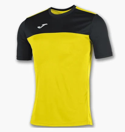 Футболка мужская Joma Winner Yellow 100946.901