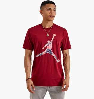 Футболка чоловіча Air Jordan Watercolor Tee Red FN5980-677