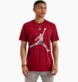 Футболка мужская Air Jordan Watercolor Tee Red FN5980-677