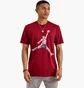 Футболка мужская Air Jordan Watercolor Tee Red FN5980-677
