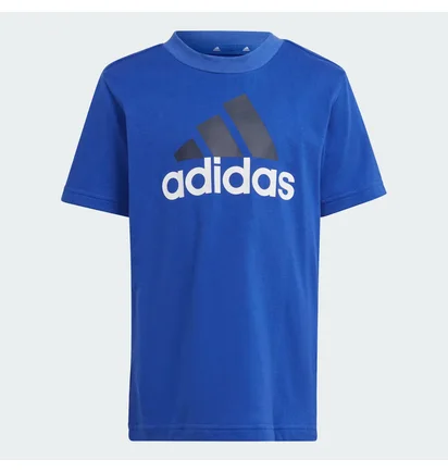Спортивный костюм детский Adidas Essentials Logo Blue/Grey IS2470