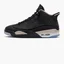 Кроссовки мужские Air Jordan Air Dub Zero Black 311046-021