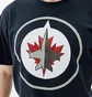 Футболка мужская 47 Brand Winnipeg Jets Imprint Black 544246FN-FS