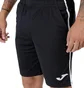 Шорты мужские Joma Open Iii Black 102252.102