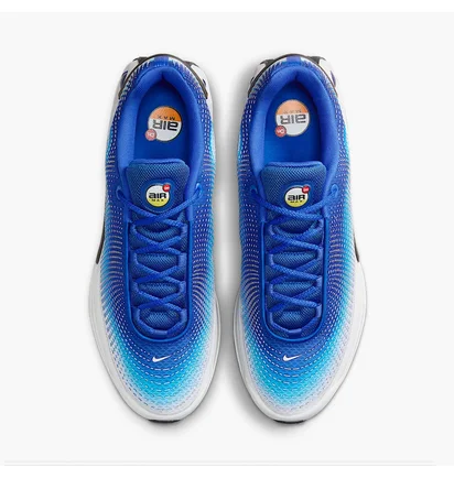 Кроссовки мужские Nike Air Max Dn Grey/Blue HF5531-400