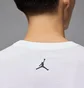 Футболка мужская Air Jordan Ess Flamingo Ss Crew White HJ2399-100