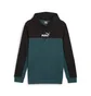 Худи мужское Puma Ess Block X Tape Hoodie Fl Black/Blue 673342-22