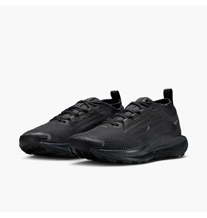 Кросівки унісекс Nike Pegasus Trail 5 Gore-Tex Black FQ0912-002