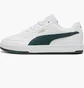 Кроссовки мужские Puma Caven 2.0 White 392290-35